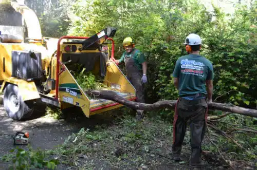 tree services Offerman